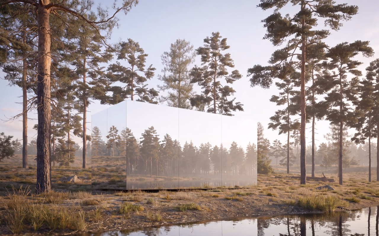Mirror house (10)