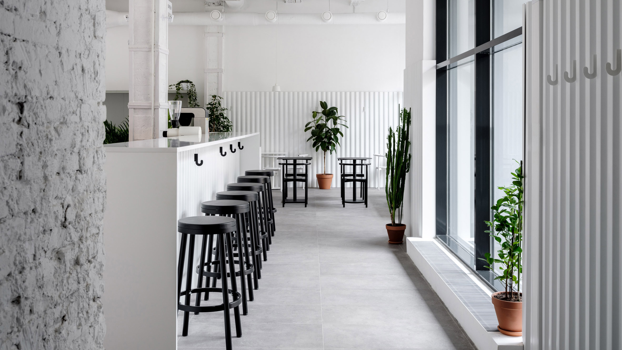 White. Bloom-n-Brew cafe in Moscow, Asketik