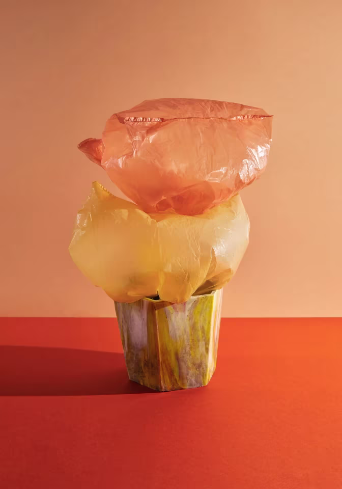 Plastmasa, plastmasa un plastmasa (Potvik_1)